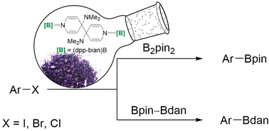 Graphical abstract: A bottleable super-electron-donor for catalytic borylation of aryl halides