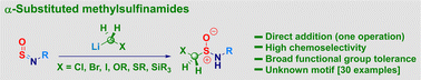 Graphical abstract: Highly chemoselective homologative assembly of the α-substituted methylsulfinamide motif from N-sulfinylamines