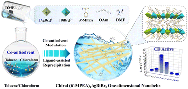 Graphical abstract: Two-dimensional lead-free silver-bismuth double perovskite nanobelts with intrinsic chirality via co-antisolvent modulation strategy