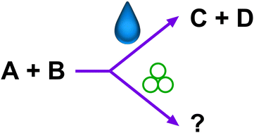 Graphical abstract: Synthesis without solvent: consequences for mechanochemical reactivity