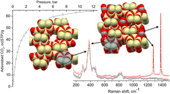 Graphical abstract: Tracking carbon dioxide adsorbate intramolecular dynamics in pure silica zeolite Silicalite-1 by in situ Raman scattering