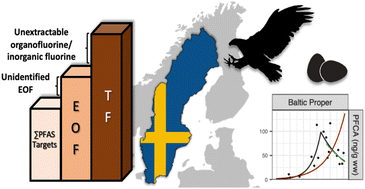 Graphical abstract: Per- and polyfluoroalkyl substances (PFAS) in white-tailed sea eagle eggs from Sweden: temporal trends (1969–2021), spatial variations, fluorine mass balance, and suspect screening