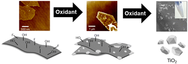 Graphical abstract: Stability of Ti3C2Tx MXenes in engineered environments