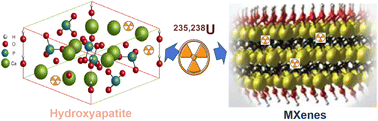 Graphical abstract: Eco-friendly hydroxyapatite and emerging MXenes for uranium adsorptive uptake