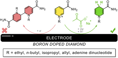 Graphical abstract: Impact of sodium pyruvate on the electrochemical reduction of NAD+ biomimetics