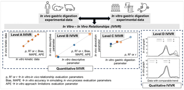 Graphical abstract: A proposed framework to establish in vitro–in vivo relationships using gastric digestion models for food research