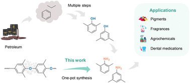 Graphical abstract: Direct amination of poly(p-phenylene oxide) to substituted anilines over bimetallic Pd–Ru catalysts