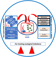 Graphical abstract: Nanoscale designing of metal organic framework moieties as efficient tools for environmental decontamination