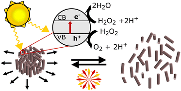 Graphical abstract: Light-powered swarming phoretic antimony chalcogenide-based microrobots with “on-the-fly” photodegradation abilities