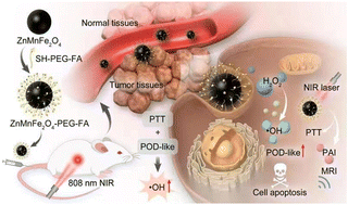 Graphical abstract: Functionalized ZnMnFe2O4–PEG–FA nanoenzymes integrating diagnosis and therapy for targeting hepatic carcinoma guided by multi-modality imaging