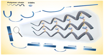 Graphical abstract: Carbon quantum dots (CQDs)-modified polymers: a review of non-optical applications