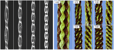 Graphical abstract: Twist and measure: characterizing the effective radius of strings and bundles under twisting contraction