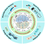 Graphical abstract: Conductive hydrogels for bioelectronics: molecular structures, design principles, and operation mechanisms