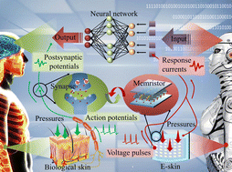 Graphical abstract: Perovskite material-based memristors for applications in information processing and artificial intelligence