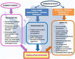 Graphical abstract: Environmental contamination and climate change in Antarctic ecosystems: an updated overview