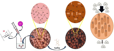 Graphical abstract: Chemical shaping of CPO-27-M (M = Co, Ni) through an in situ crystallization within chitosan hydrogels