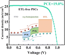 Graphical abstract: Constructing bottom-up n–p perovskite homojunctions for enhanced performance of electron transport layer-free solar cells