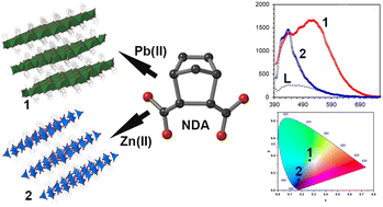 Graphical abstract: Blue- and white-light emitting 2D metal–organic frameworks of cis-5-norbornene-endo-2,3-dicarboxylic acid