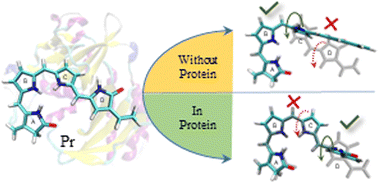 Graphical abstract: Effect of the protein environment on the excited state phenomena in a bacteriophytochrome