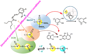 Graphical abstract: New VVO2, VVO, VVOVVO and electrogenerated VIVOVVO systems of valproic acid hydrazones: a study of catalytic activity