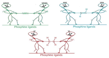 Graphical abstract: Beyond the triple bond: unlocking dinitrogen activation with tailored superbase phosphines