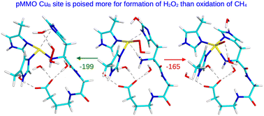 Graphical abstract: The CuB site in particulate methane monooxygenase may be used to produce hydrogen peroxide