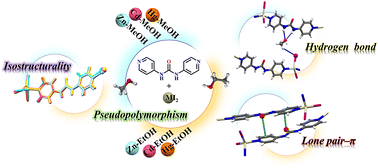 Graphical abstract: Controlling pseudopolymorphism via robust and repetitive solvent-containing supramolecular interactions in urea-based isostructural coordination polymers
