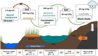 Graphical abstract: Environmental impact of an acid-forming alum shale waste rock legacy site in Norway