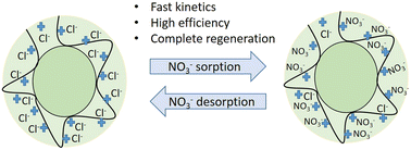 Graphical abstract: Shallow Shell SSTA63 resin: a rapid approach to remediation of hazardous nitrate