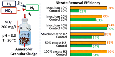 Graphical abstract: Effect of inoculum percentage and hydrogen supply on hydrogenotrophic denitrification driven by anaerobic granular sludge