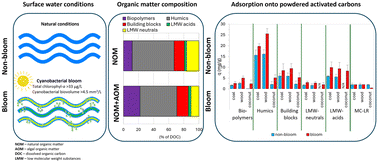 Graphical abstract: Microcystin-LR removal by powdered activated carbon: the influence of natural organic matter in non-bloom and bloom water