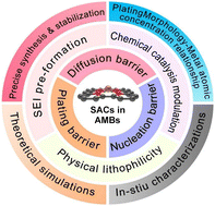 Graphical abstract: Prospects of single atom catalysts for dendrite-free alkali metal batteries