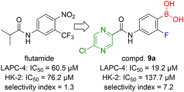 Graphical abstract: Replacement of nitro function by free boronic acid in non-steroidal anti-androgens