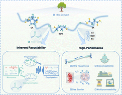 Graphical abstract: High-performance chemically recyclable multifunctional polyolefin-like biomass-derived polyester materials