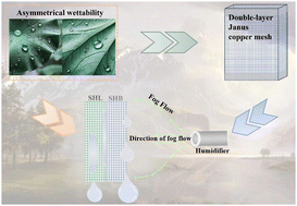 Graphical abstract: Matchbox Janus membrane fog collector with highly efficient directional transport