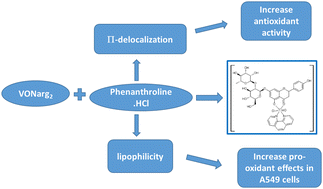 Graphical abstract: Influence of the secondary ligand, phenanthroline, on the antioxidant and pro-oxidant and cytotoxic effects of the oxidovanadium(iv)/naringin complex