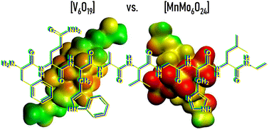 Graphical abstract: Structural study of Lindqvist polyoxovanadate–peptide conjugates