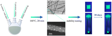 Graphical abstract: One-pot synthesis of heterostructured CsPbBr3/PdSe nanowires with excellent humidity stability