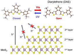 Graphical abstract: Layer-number-dependent photoswitchability in 2D MoS2-diarylethene hybrids