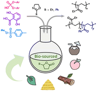 Graphical abstract: Cationic ring-opening polymerization of 2-oxazolines in γ-butyrolactones using various initiators