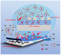 Graphical abstract: A layered basic zinc acetate coating for dendrite-free Zn anodes by interface environment regulation in aqueous zinc-ion batteries