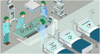 Graphical abstract: Remodelling molecular frameworks via atom-level surgery: recent advances in skeletal editing of (hetero)cycles