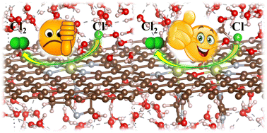 Graphical abstract: Atomically dispersed dinuclear iridium active sites for efficient and stable electrocatalytic chlorine evolution reaction