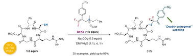 Graphical abstract: Site-selective S-gem-difluoroallylation of unprotected peptides with 3,3-difluoroallyl sulfonium salts