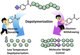 Graphical abstract: Low temperature thermal RAFT depolymerization: the effect of Z-group substituents on molecular weight control and yield