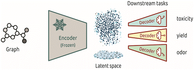 Graphical abstract: A focus on molecular representation learning for the prediction of chemical properties