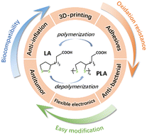 Graphical abstract: Biological applications of lipoic acid-based polymers: an old material with new promise