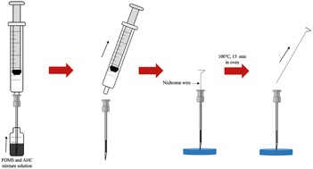 Graphical abstract: Sustainable headspace-in-needle microextraction analysis of phthalates using biomass-derived carbon-coated needles