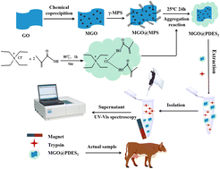 Graphical abstract: Novel poly-deep eutectic solvent-functionalized magnetic graphene oxide nanomaterials for high-performance solid-phase extraction of trypsin