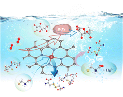 Graphical abstract: Fe–N–C oxidase-mimicking nanozymes for discrimination of antioxidants and detection of Hg2+